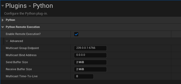 Remote control settings in Unreal project settings